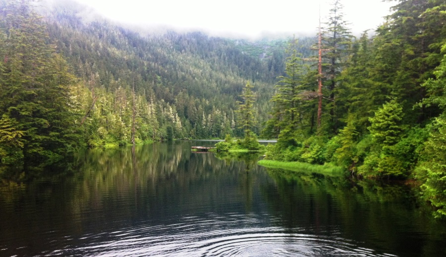 Body recovered downstream of Carlanna Lake Dam - KRBD