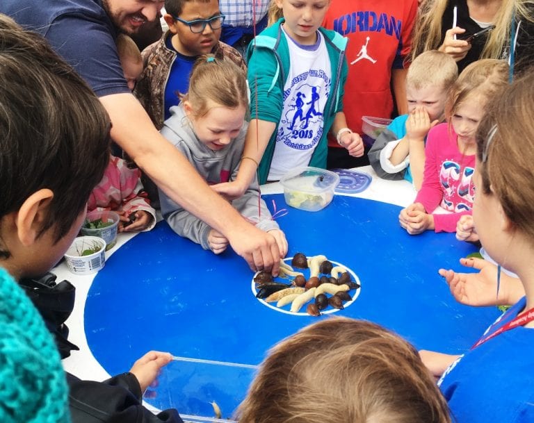 Blueberry Festival returns to downtown Ketchikan KRBD