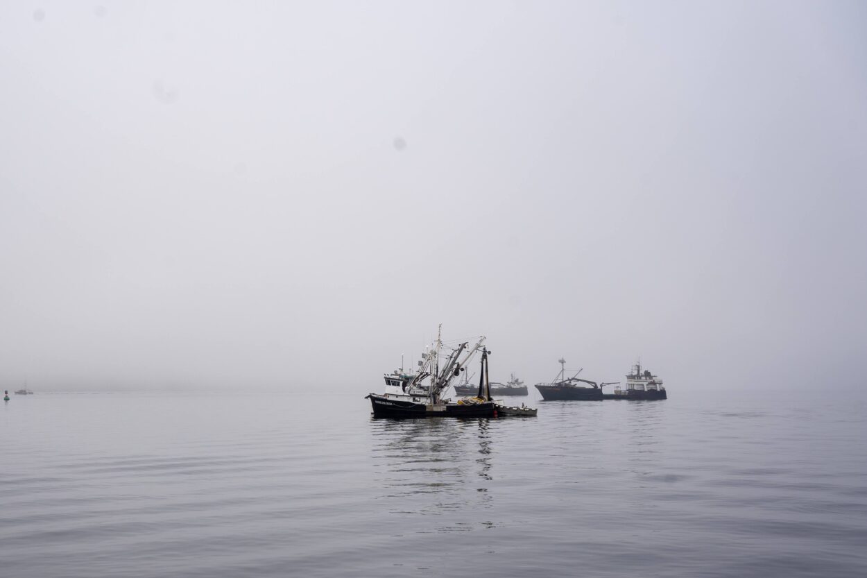 Fishermen in southeast Alaska are eligible for federal salmon disaster assistance. The application deadline is fast approaching.