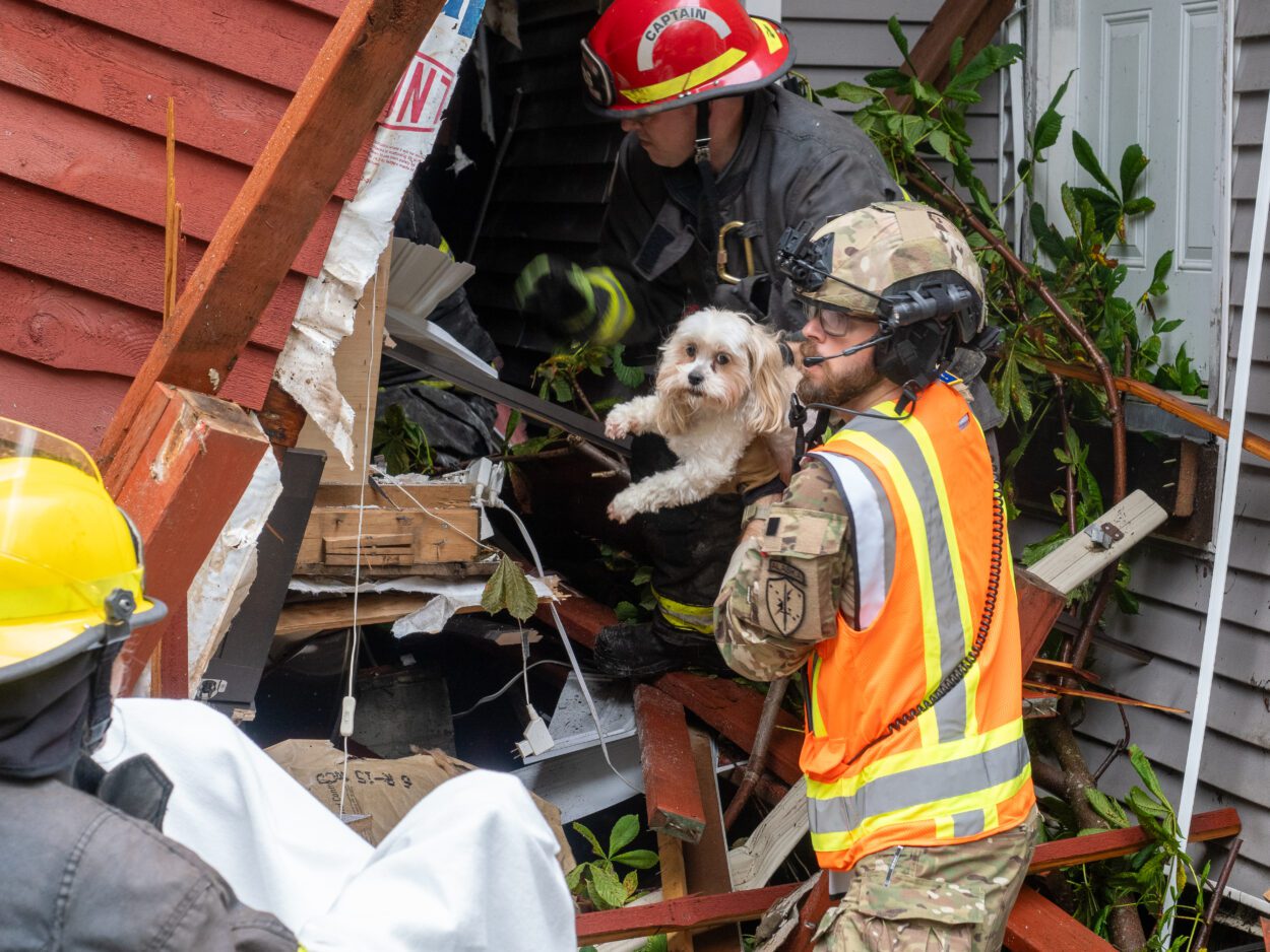 a firefighter standing at the edge of a collapsed building passes a small white dog to another emergency responder